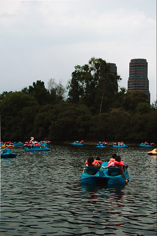 Lake filled with people on pedal boats.