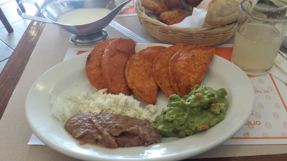 Enchiladas potosinas with refried beans, cream and guacamole.