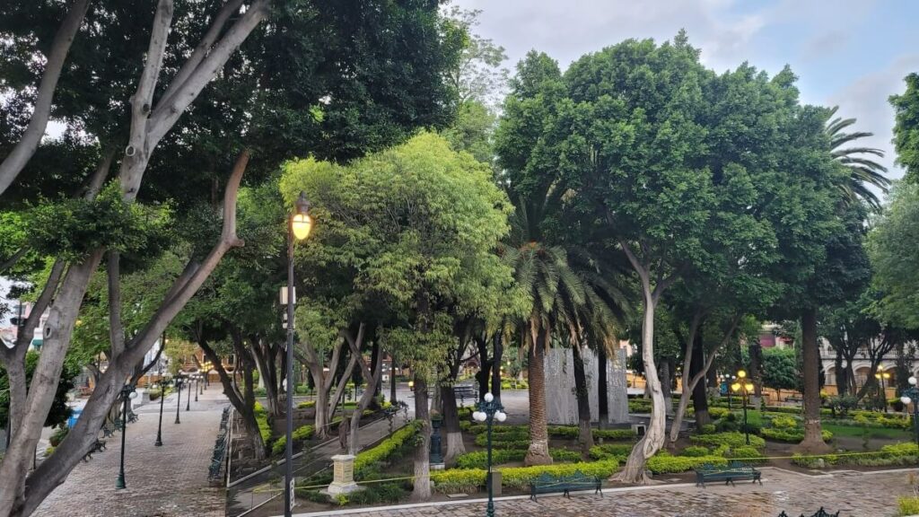 A plaza with several trees and other plants.