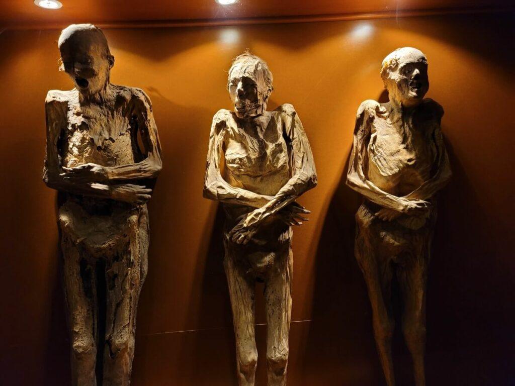 Three mummies at a museum.