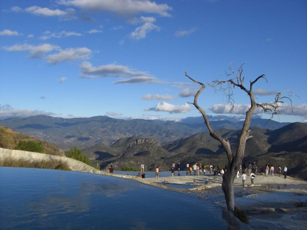 A tree trunk by the side of a natural pool.