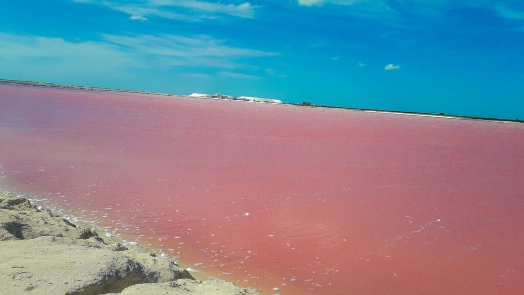 A lake of pink water.