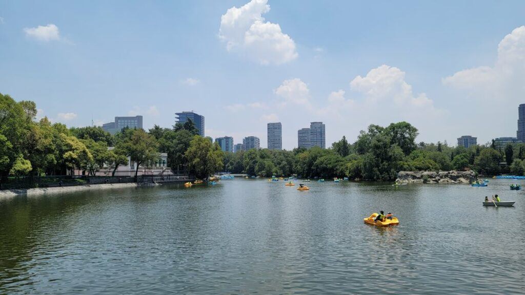 A lake at a park.