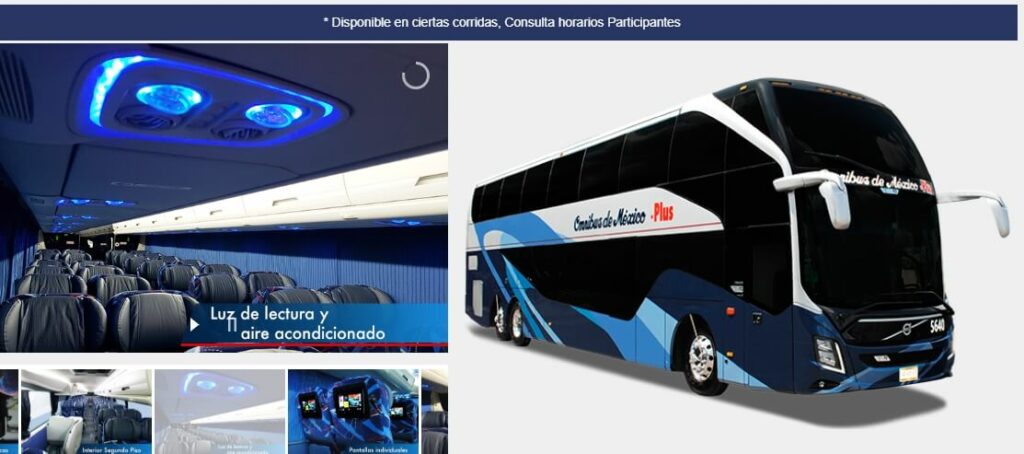 Omnibus de Mexico Primera Plus bus