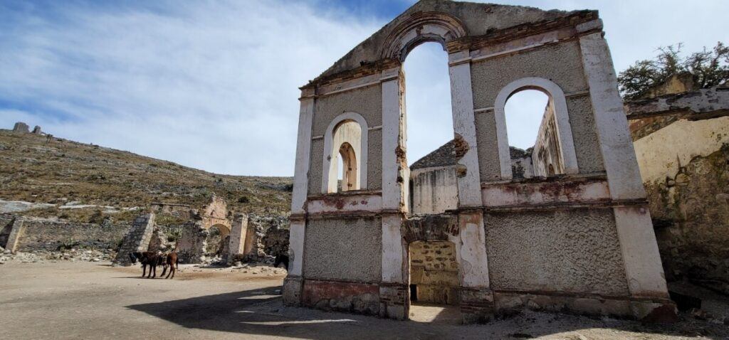 An old hacienda and a horse.