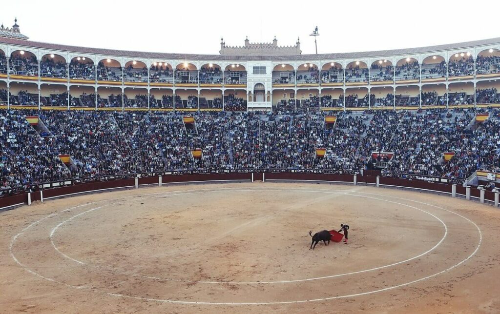 People watching a bullfight.