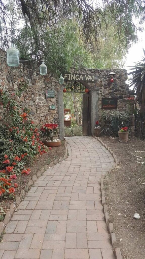 A stone path lined by flowers leading up to the entrance of Finca VAI.