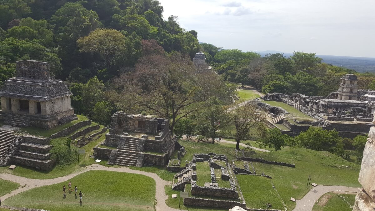 Aerial view of Maya ruins in the jungle.