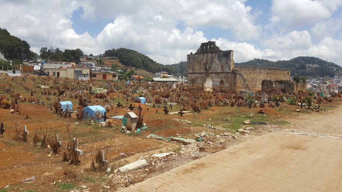 A cemetery with wooden crosses and pine branches on its graves.