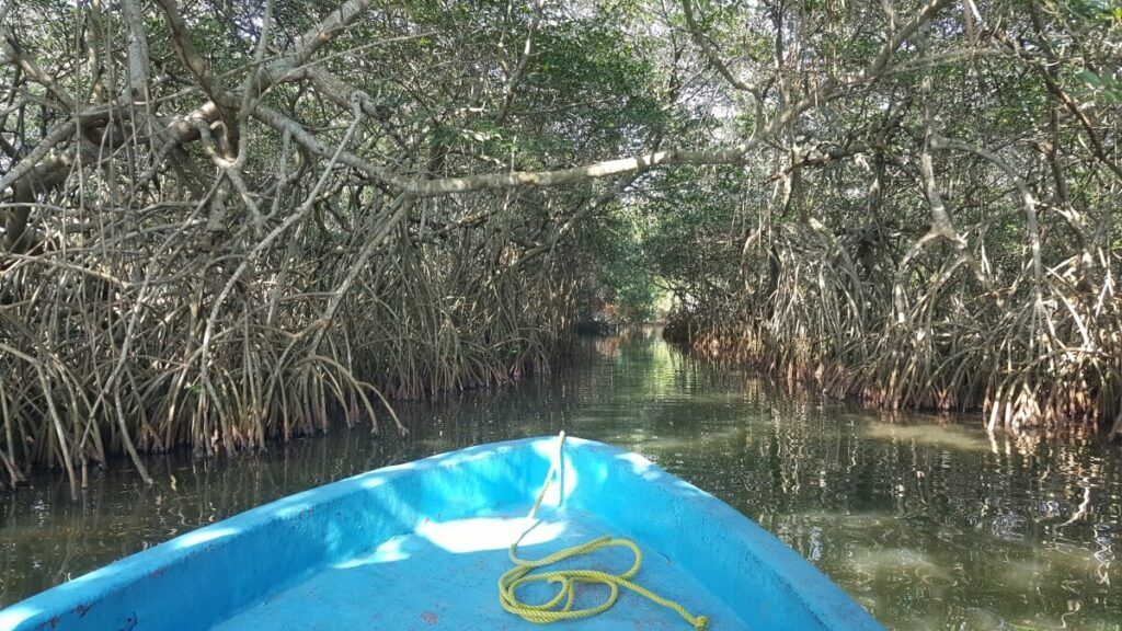 A boat by the river.