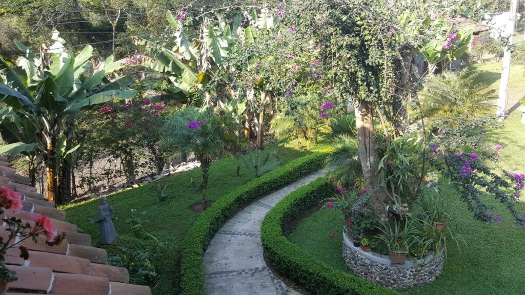 View of the garden from a terrace.