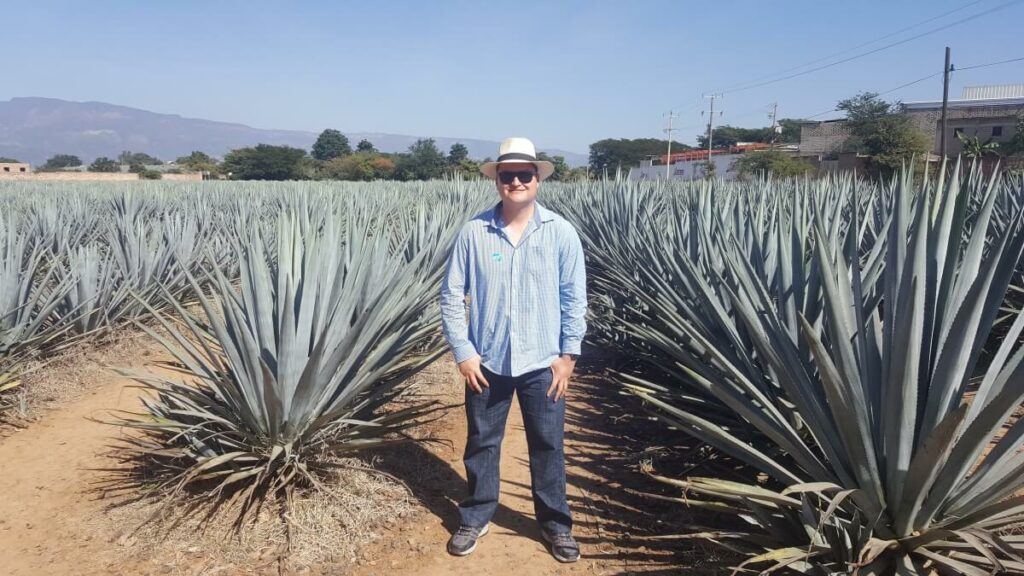 A young man wearing a button down, jeans, and a hat in the middle of an agave plantation.
