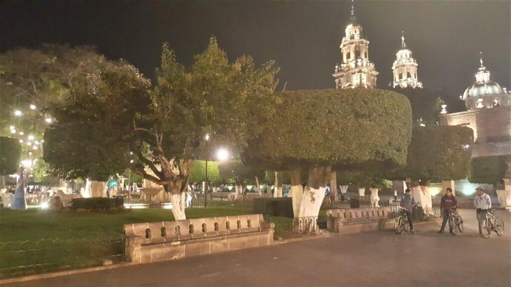 A plaza with trees and benches lit up at night.