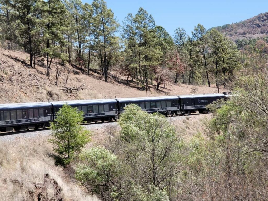 A train passing through the mountains.