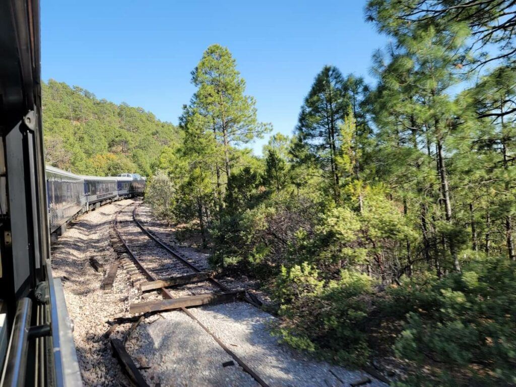 A train in the forest.