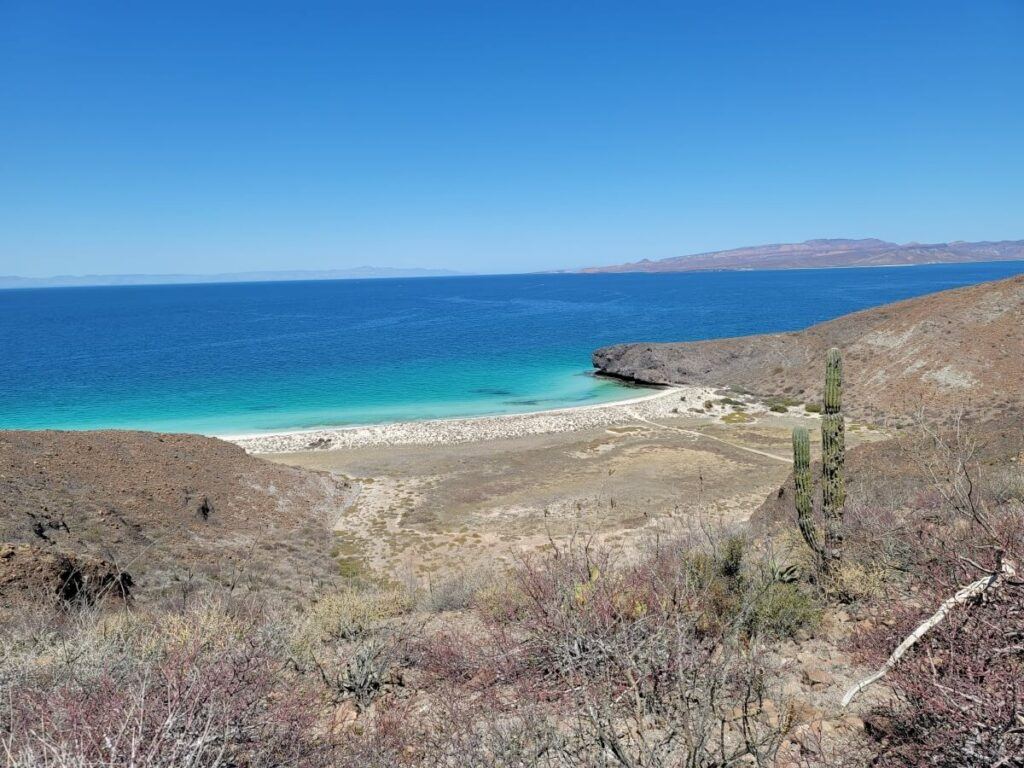 A beach right next to the desert.